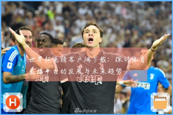 世界杯竞猜客户端下载：探讨体育直播平台的发展与未来趋势