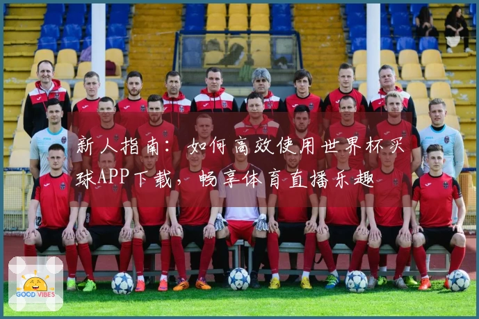 新人指南：如何高效使用世界杯买球APP下载，畅享体育直播乐趣