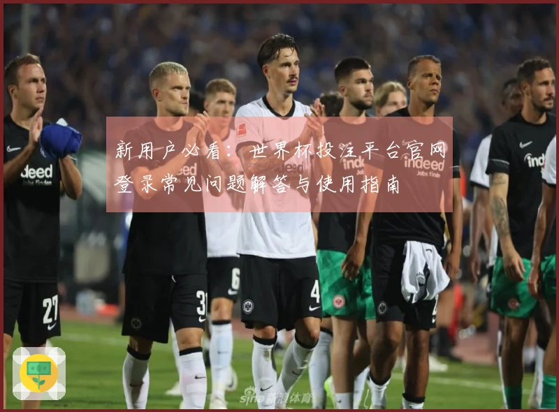 新用户必看：世界杯投注平台官网登录常见问题解答与使用指南
