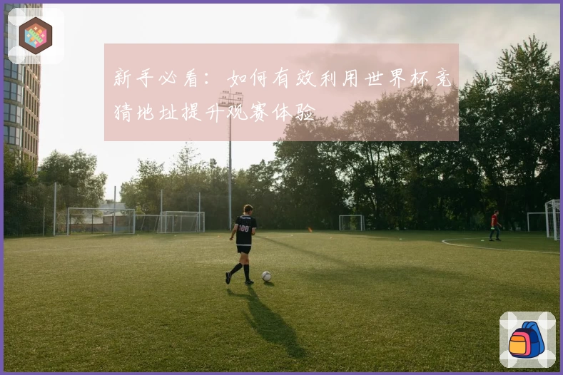 新手必看：如何有效利用世界杯竞猜地址提升观赛体验