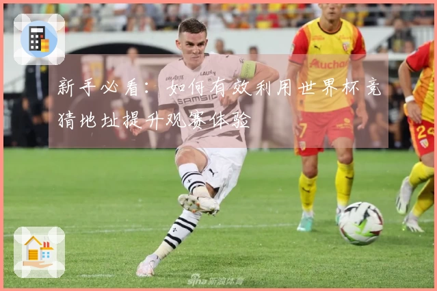 新手必看：如何有效利用世界杯竞猜地址提升观赛体验