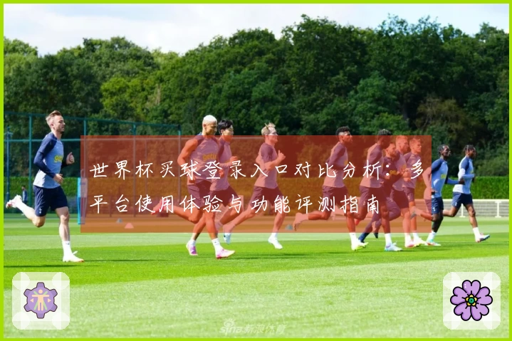 世界杯买球登录入口对比分析：多平台使用体验与功能评测指南