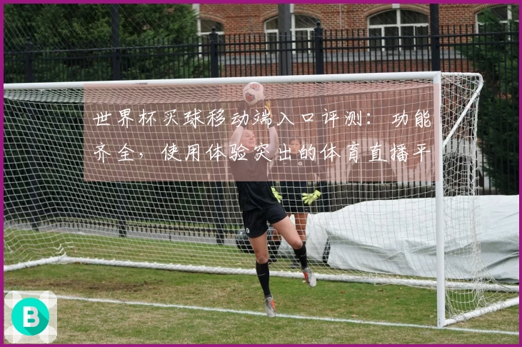 世界杯买球移动端入口评测：功能齐全，使用体验突出的体育直播平台选择