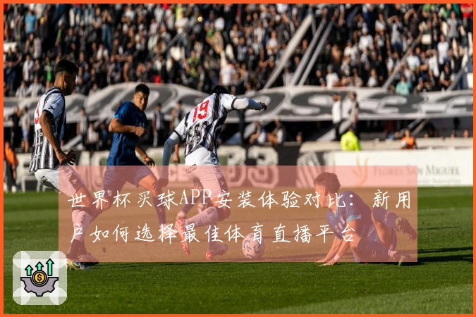 世界杯买球APP安装体验对比：新用户如何选择最佳体育直播平台