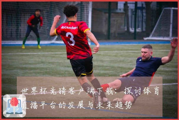 世界杯竞猜客户端下载：探讨体育直播平台的发展与未来趋势